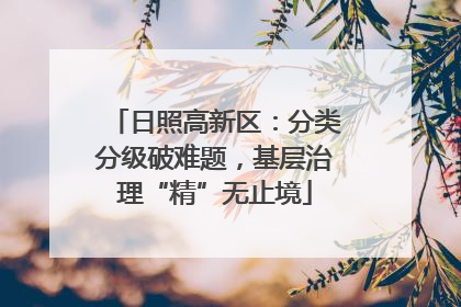 日照高新区：分类分级破难题，基层治理“精”无止境
