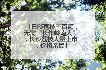 日啖荔枝三百颗，无需“长作岭南人”，长沙荔枝大量上市，价格亲民