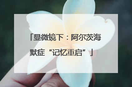 显微镜下：阿尔茨海默症“记忆重启”