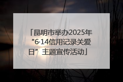 昆明市举办2025年“6·14信用记录关爱日”主题宣传活动