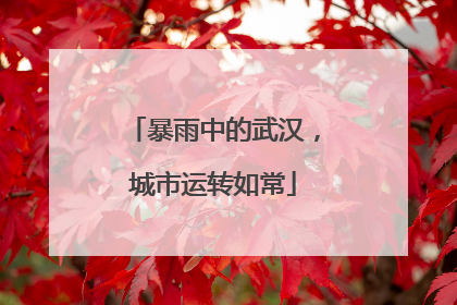 暴雨中的武汉，城市运转如常