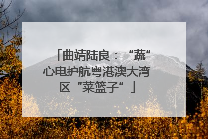曲靖陆良：“蔬”心电护航粤港澳大湾区“菜篮子”