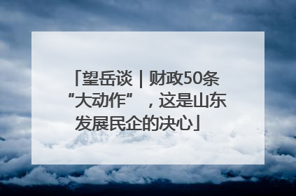 望岳谈｜财政50条“大动作”，这是山东发展民企的决心