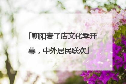 朝阳麦子店文化季开幕，中外居民联欢