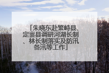 朱晓东赴繁峙县、定襄县调研河湖长制、林长制落实及防汛备汛等工作