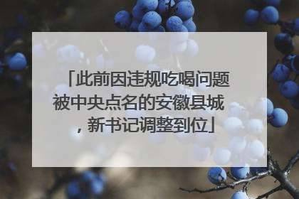 此前因违规吃喝问题被中央点名的安徽县城，新书记调整到位