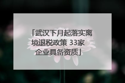 武汉下月起落实离境退税政策 33家企业具备资质