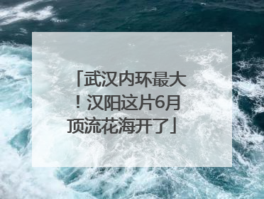 武汉内环最大！汉阳这片6月顶流花海开了