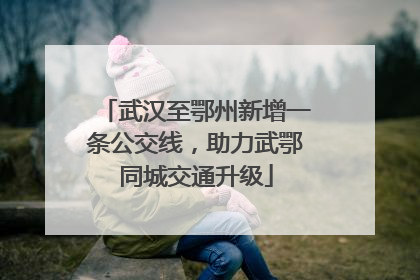 武汉至鄂州新增一条公交线，助力武鄂同城交通升级