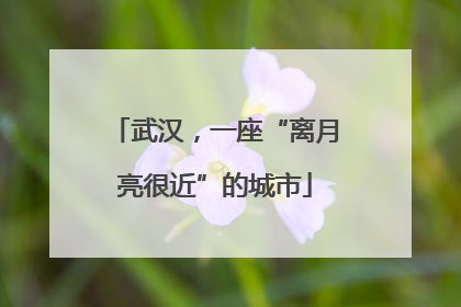 武汉，一座“离月亮很近”的城市
