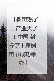 树莓熟了，产业火了！中国·封丘第十届树莓节成功举办