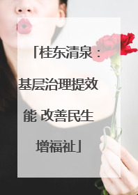 桂东清泉：基层治理提效能 改善民生增福祉