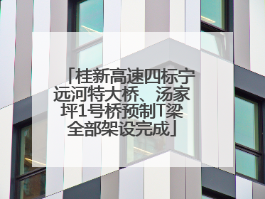 桂新高速四标宁远河特大桥、汤家坪1号桥预制T梁全部架设完成