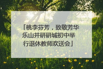 桃李芬芳，致敬芳华 乐山井研研城初中举行退休教师欢送会