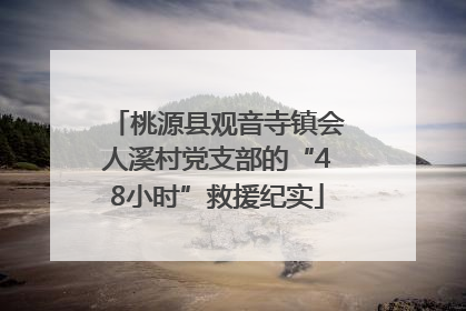 桃源县观音寺镇会人溪村党支部的“48小时”救援纪实
