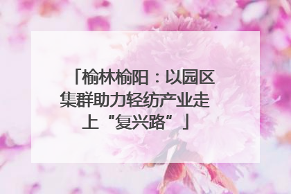 榆林榆阳：以园区集群助力轻纺产业走上“复兴路”