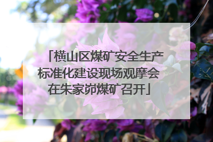 横山区煤矿安全生产标准化建设现场观摩会在朱家峁煤矿召开