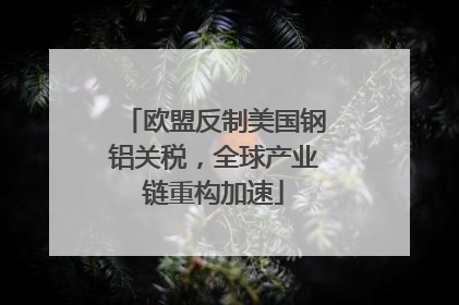 欧盟反制美国钢铝关税，全球产业链重构加速