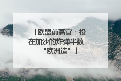 欧盟前高官：投在加沙的炸弹半数“欧洲造”