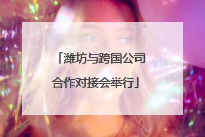 潍坊与跨国公司合作对接会举行