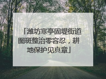 潍坊寒亭固堤街道图斑整治零容忍，耕地保护见真章