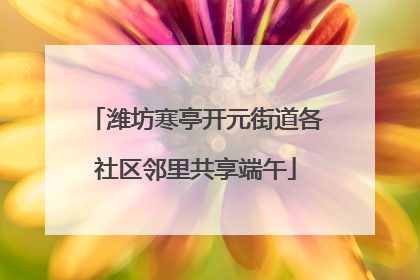 潍坊寒亭开元街道各社区邻里共享端午