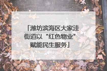 潍坊滨海区大家洼街道以“红色物业”赋能民生服务