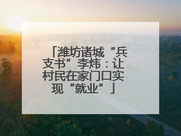 潍坊诸城“兵支书”李炜：让村民在家门口实现“就业”