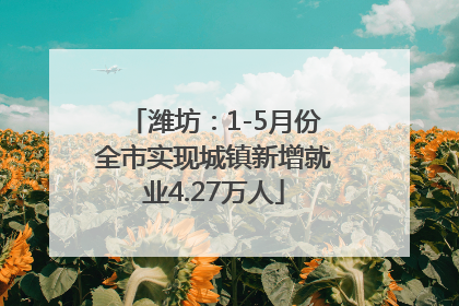 潍坊：1-5月份全市实现城镇新增就业4.27万人