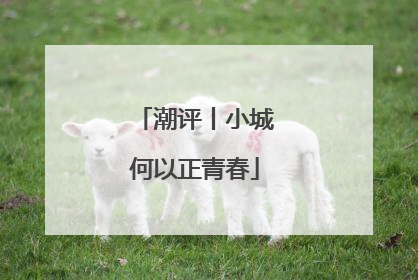 潮评丨小城何以正青春