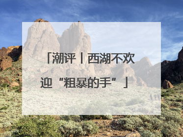 潮评丨西湖不欢迎“粗暴的手”