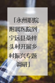 永州职院附属医院到宁远县桑梓头村开展乡村振兴专题调研