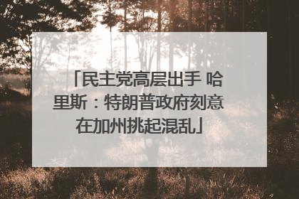 民主党高层出手 哈里斯：特朗普政府刻意在加州挑起混乱