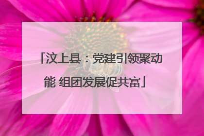 汶上县：党建引领聚动能 组团发展促共富