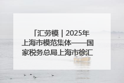 汇劳模｜2025年上海市模范集体——国家税务总局上海市徐汇区税务局第一税务所