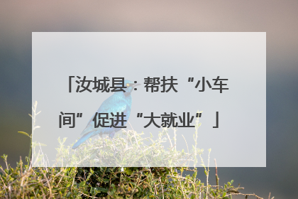 汝城县：帮扶“小车间”促进“大就业”