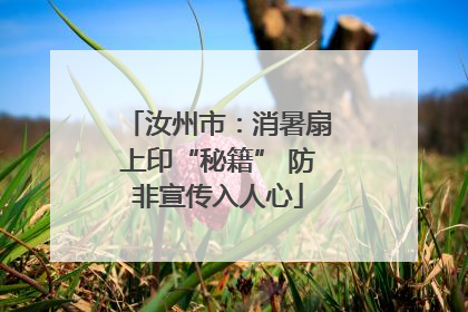 汝州市：消暑扇上印“秘籍” 防非宣传入人心