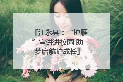 江永县：“护雁”宣讲进校园 助梦启航护成长