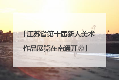 江苏省第十届新人美术作品展览在南通开幕