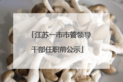 江苏一市市管领导干部任职前公示