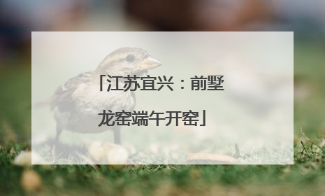江苏宜兴：前墅龙窑端午开窑
