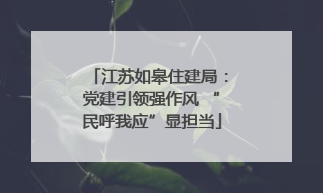 江苏如皋住建局：党建引领强作风 “民呼我应”显担当