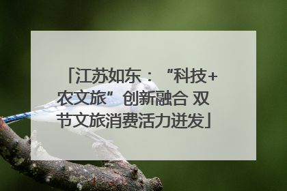 江苏如东：“科技+农文旅”创新融合 双节文旅消费活力迸发