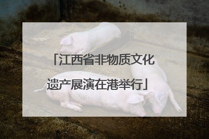 江西省非物质文化遗产展演在港举行