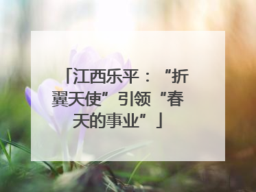 江西乐平：“折翼天使”引领“春天的事业”