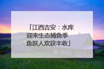 江西吉安：水库迎来生态捕鱼季 鱼跃人欢获丰收