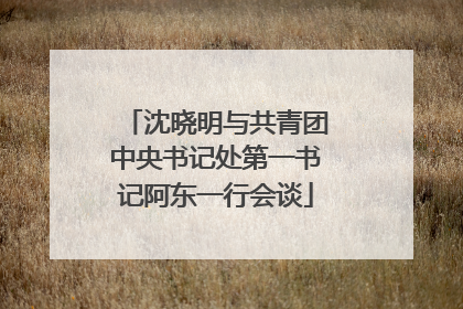 沈晓明与共青团中央书记处第一书记阿东一行会谈