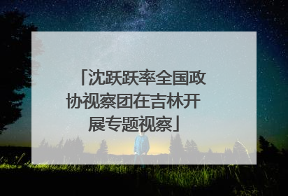 沈跃跃率全国政协视察团在吉林开展专题视察
