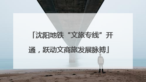 沈阳地铁“文旅专线”开通，跃动文商旅发展脉搏