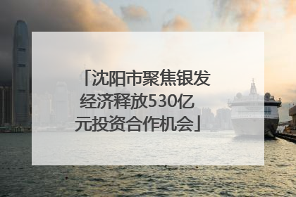 沈阳市聚焦银发经济释放530亿元投资合作机会